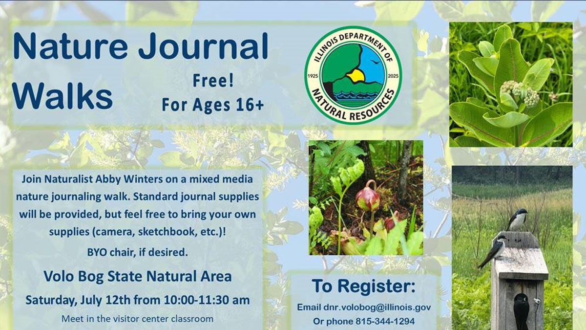 Nature Journal Walks at Volo Bog